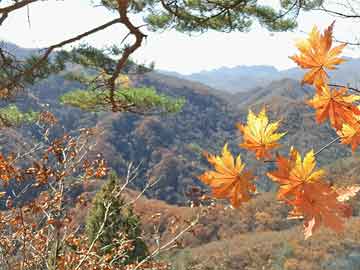 中国最新疫情与中山港实时直播，共同关注，携手抗疫