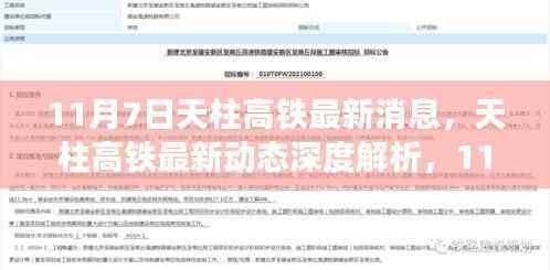 第1115页