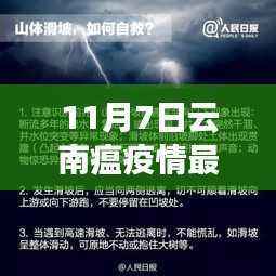 浅笑轻吟梦一曲 第17页