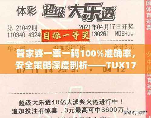 管家婆一票一码100%准确率,安全策略深度剖析——TUX170.84学习版