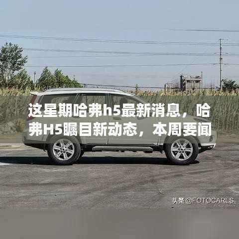 森久 第16页