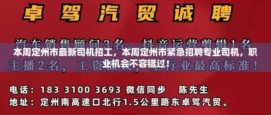 定州市紧急招聘专业司机，不容错过的职业机遇！