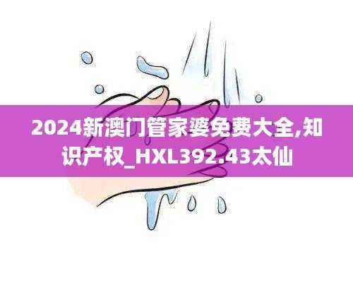 2024新澳门管家婆免费大全,知识产权_HXL392.43太仙