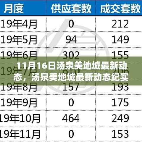 汤泉美地城11月16日最新动态纪实,时代印记的呈现