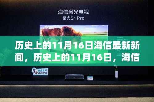 历史上的11月16日,海信心灵之旅启程,自然美景邀你共赏新闻发布