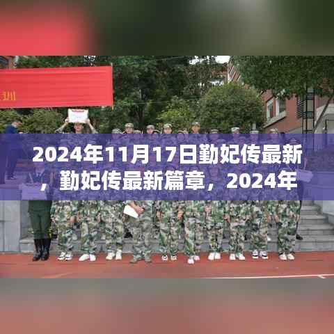 勤妃传最新篇章,风华再现于2024年11月17日