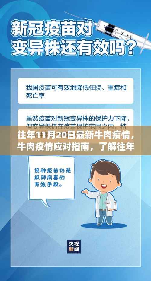 往年11月牛肉疫情最新动态，应对指南与食品安全保障措施的重要性