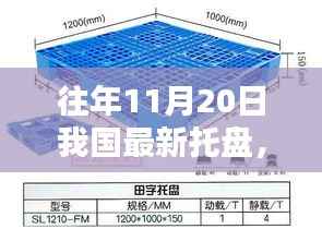 往年11月20日我国最新托盘，全面评测与详细介绍