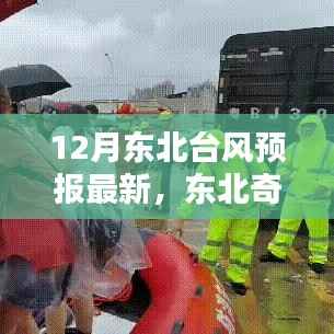初告白 第6页