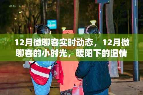 暖阳下的微聊客,12月实时动态与温情日常
