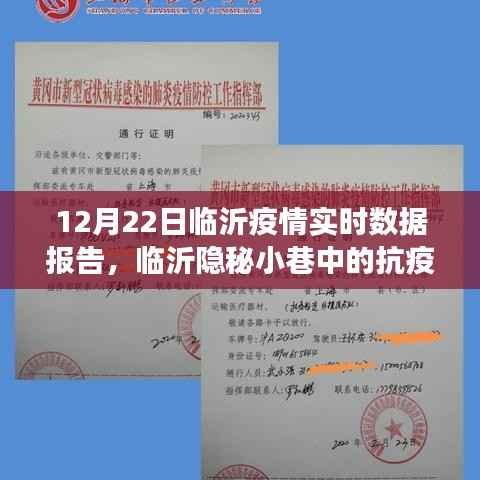 临沂疫情实时报告,隐秘小巷中的抗疫特色小店与数据背后的故事