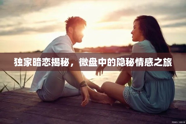 省吃俭用 第2页
