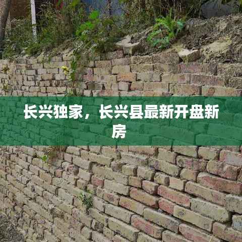 长兴独家,长兴县最新开盘新房