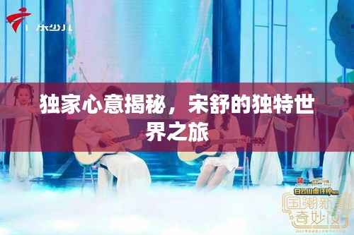 独家心意揭秘,宋舒的独特世界之旅