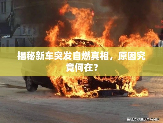 wuyingwuzong 第2页