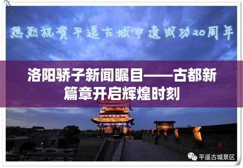 洛阳骄子新闻瞩目——古都新篇章开启辉煌时刻