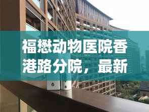 福懋动物医院香港路分院,最新评价揭秘,宠物健康守护者的专业水准!