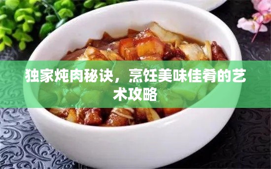独家炖肉秘诀,烹饪美味佳肴的艺术攻略