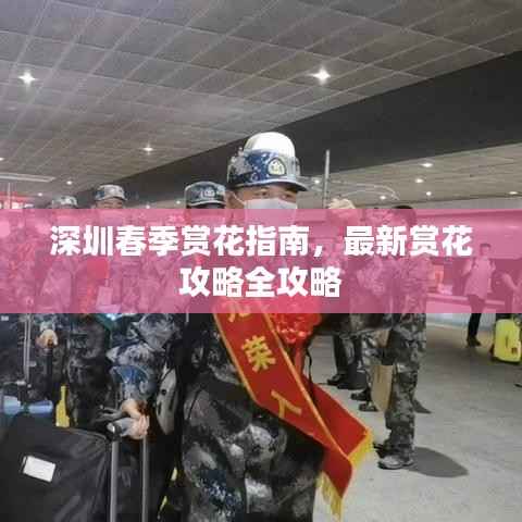 深圳春季赏花指南,最新赏花攻略全攻略