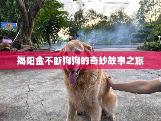 神气十足